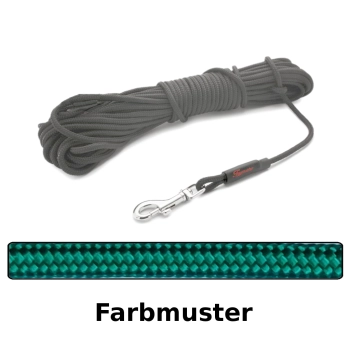 klassische Hundeleine - S - 5m - grün
